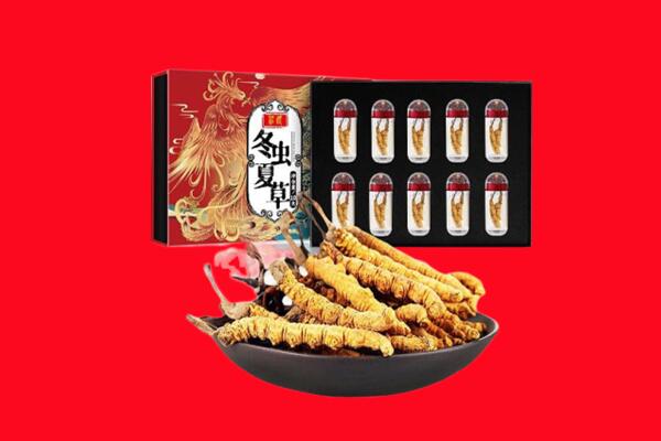 西青区回收虫草.jpg
